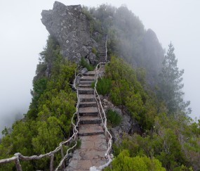 成都有几家供卵试管医院，附供卵移植成功率统计表！